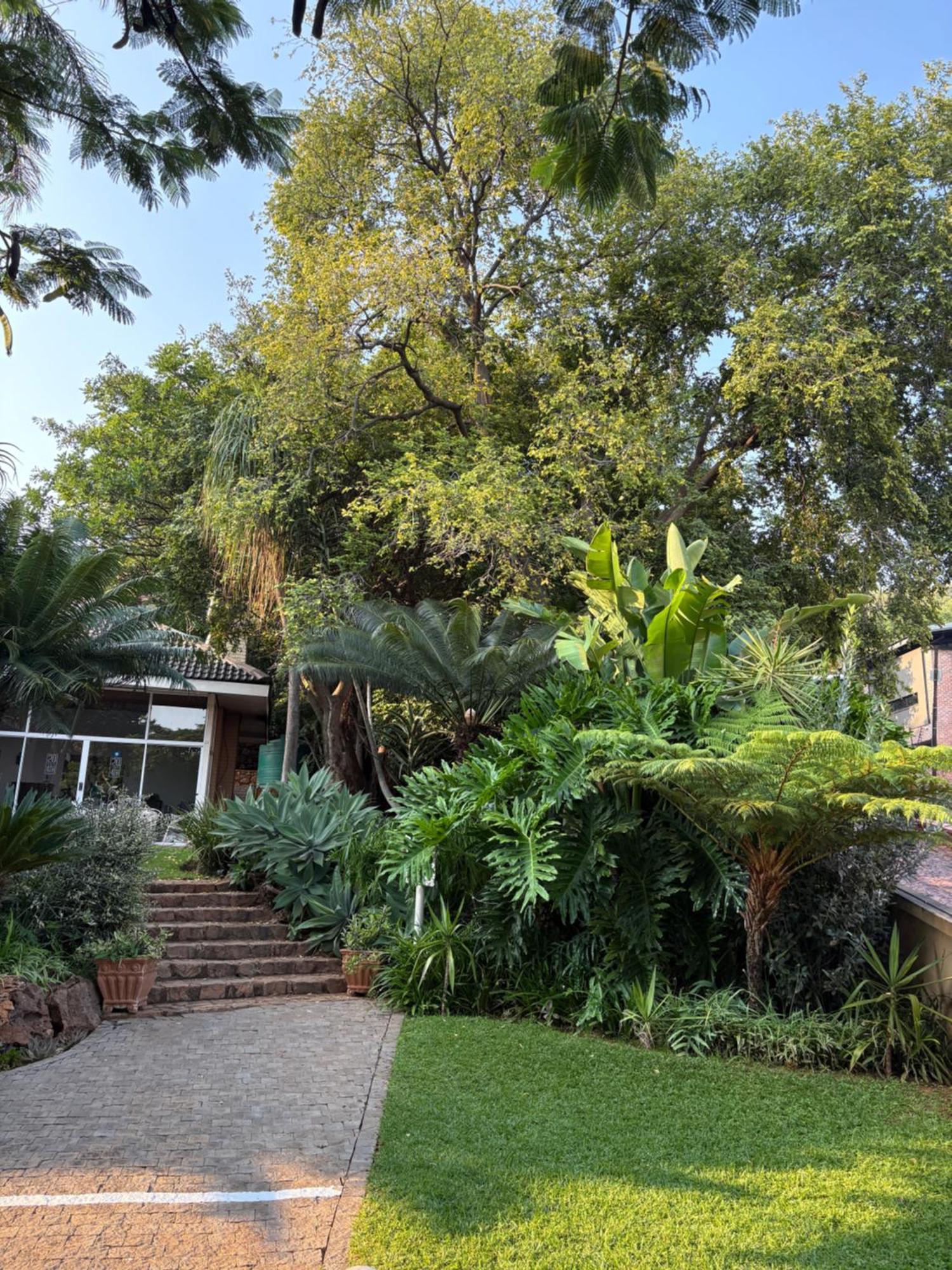 Luxury Upmarket Guesthouse 20 On 4Th Rustenburg Ngoại thất bức ảnh